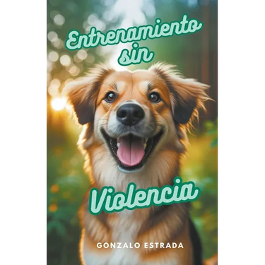 Entrenamiento sin Violencia