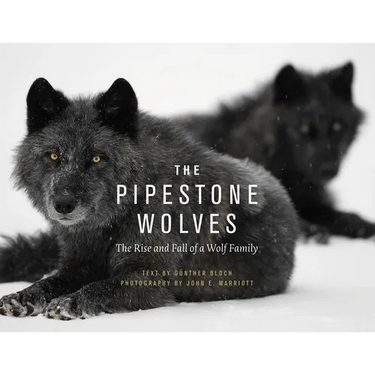 The Pipestone Wolves: The Rise and Fall of a Wolf Family