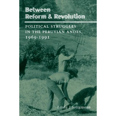 Between Reform and Revolution: Political Struggles in the Peruvian Andes, 1969-1991