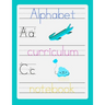 Alphabet curriculum notebook: Preshool workbook - Trace letters of the alphabet and sight words - Magic calligraphy child book