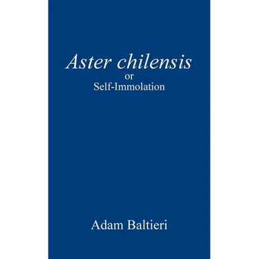 Aster chilensis: or Self-Immolation
