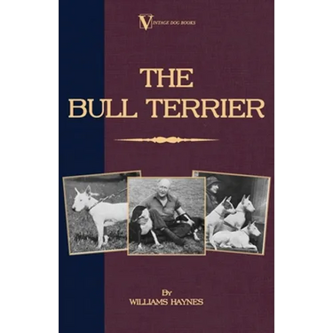 The Bull Terrier