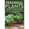 Perennial Plants: Grow All Year Round With Perrenial Plants, Vegetables, Berries, Herbs, Fruits, Harvest Forever, Gardening, Mini Farm,