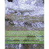 Alabama Water Operator Certification Exam Unofficial Self Practice Exercise Questions: covering fundamental knowledge compatible with exams of all exa