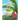Boa in a Banana Tree Coloring and Activity Book