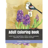 Adult Coloring Book: Jumbo Giant Coloring Book of Birds, Garden Landscapes, Butterflies, Country Seasons and More