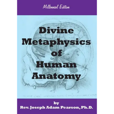 Divine Metaphysics of Human Anatomy