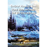 Snow Hangs on the Branches of Evergreens