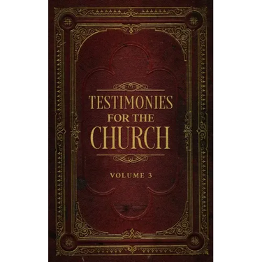 Testimonies for the Church Volume 3