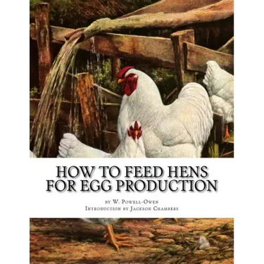 How To Feed Hens For Egg Production
