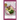 Lipedema Diet: Lipedema Diet And Cookbook For Beginners