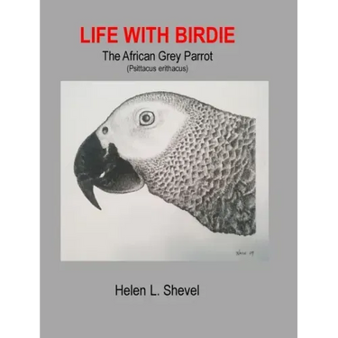 Life with Birdie, The African Grey Parrot