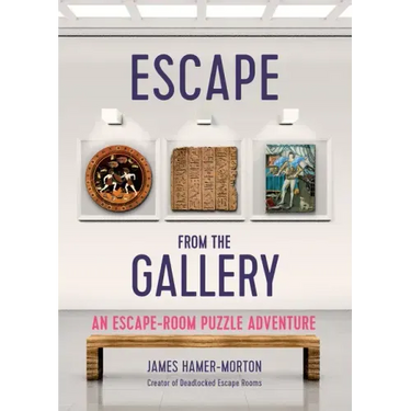 Escape from the Gallery: An Entertaining Art-Based Escape Room Puzzle Experience