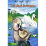 The Ugly Duckling
