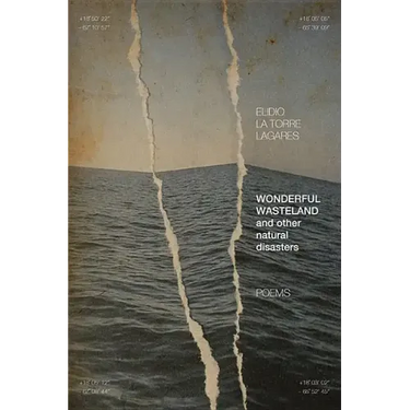 Wonderful Wasteland and Other Natural Disasters: Poems