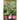 Wildflowers of Massachusetts, Connecticut, and Rhode Island in Color
