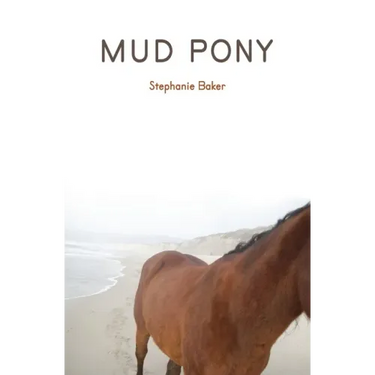 Mud Pony