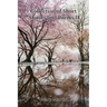 Collection of Short Stories and Poems II