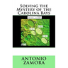 Solving the Mystery of the Carolina Bays