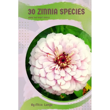 30 Zinnia species: Make the right choice