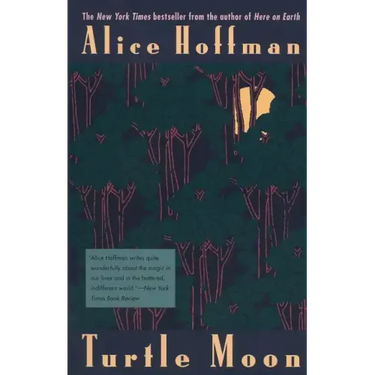 Turtle Moon