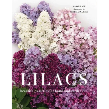 Lilacs: Beautiful Varieties for Home and Garden