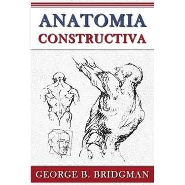 Anatomia Constructiva