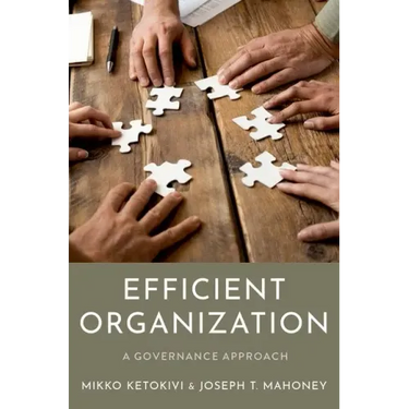 Efficient Organization: A Governance Approach