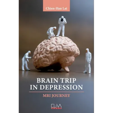 Brain Trip in Depression: MRI Journey