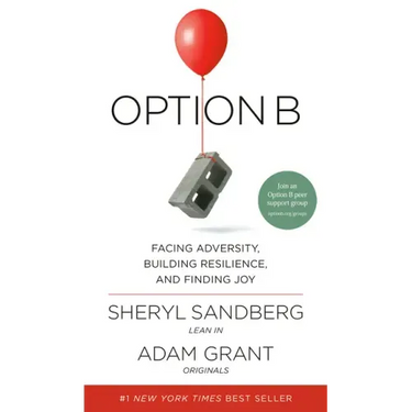 Option B: Facing Adversity, Building Resilience, and Finding Joy