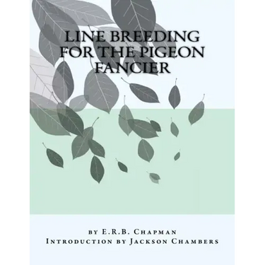 Line Breeding For The Pigeon Fancier