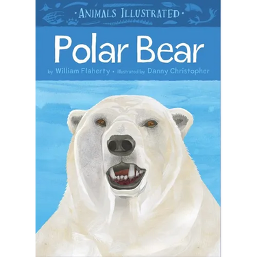 Animals Illustrated: Polar Bear