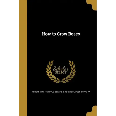 How to Grow Roses