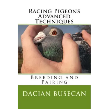 Racing Pigeons Advanced Techniques: Breeding and Pairing