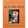 The Adventures of Ace The Face