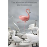 The Miracles of Attention and Awareness