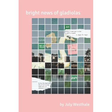 bright news of gladiolas