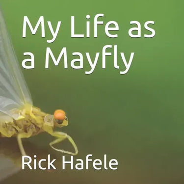 My Life as a Mayfly