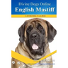 English Mastiff