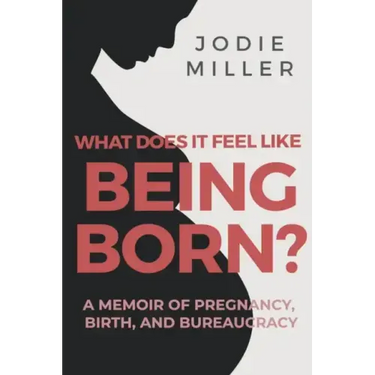 What Does It Feel Like Being Born?: A memoir of pregnancy, birth and bureaucracy