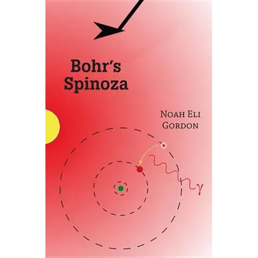 Bohr's Spinoza
