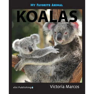 My Favorite Animal: Koalas