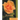 Azizam: Exploring the Sacredness of One'S Dearest Relationship