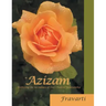 Azizam: Exploring the Sacredness of One'S Dearest Relationship