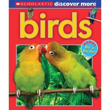 Scholastic Discover More: Birds (Emergent Reader)