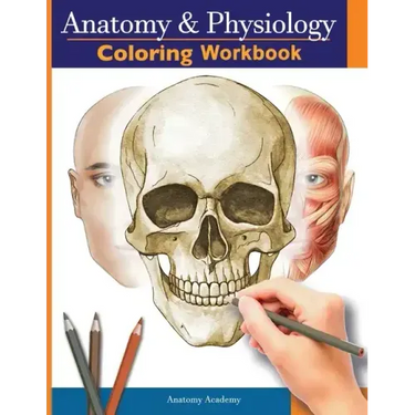 Anatomy and Physiology Coloring Workbook: The Essential College Level Study Guide Perfect Gift for Medical School Students, Nurses and Anyone Interest