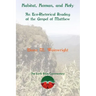 Habitat, Human, and Holy: An Eco-Rhetorical Reading of the Gospel of Matthew