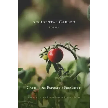 Accidental Garden