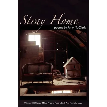 Stray Home