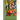 The Dynamics of Color
